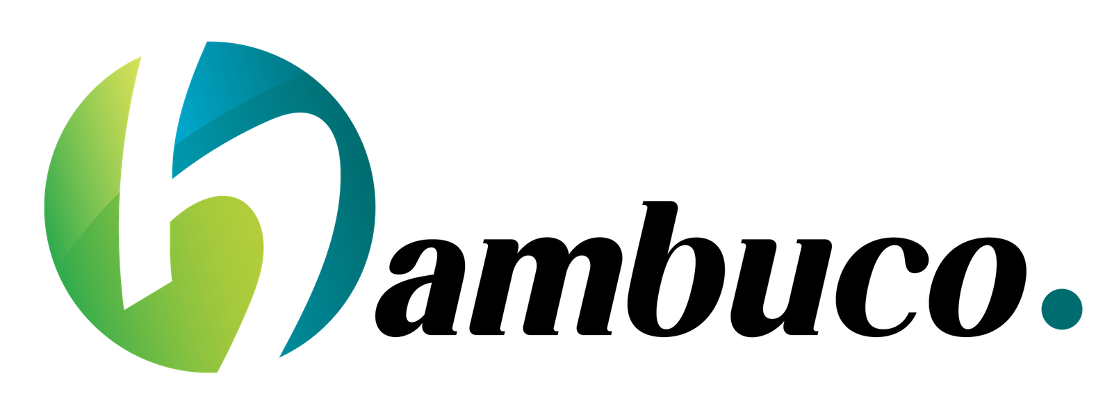 logo_hambuco
